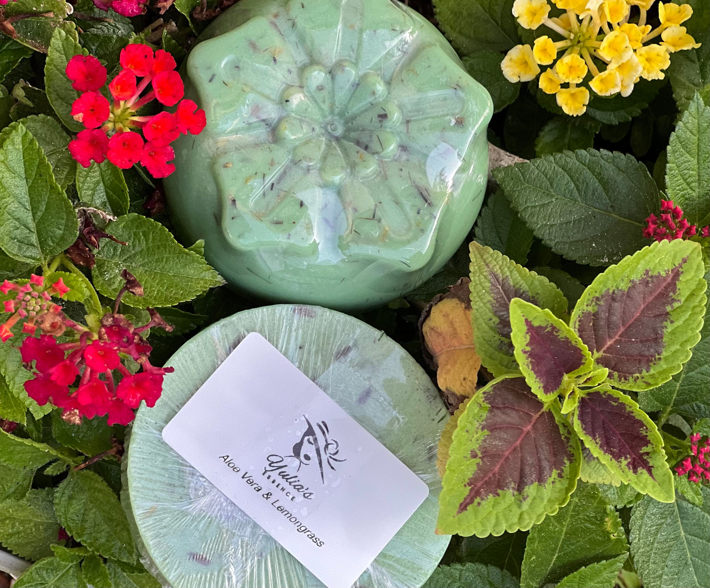 Aloe Vera Bodysoap